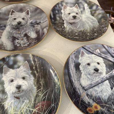 DANBURY MINT WEST HIGHLAND TERRRIER COLLECTOR PLATE LOT