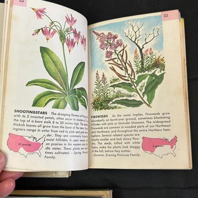 Collection of Gardening & Landscaping Books