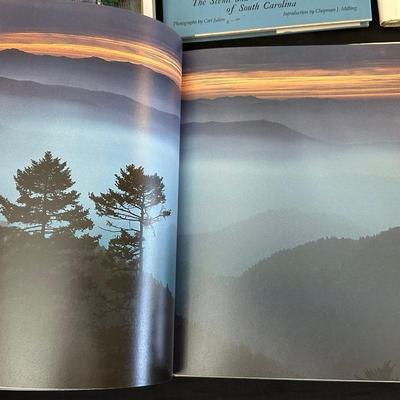 Collection of Books and Booklet exploring the History and Architectural Design of the South