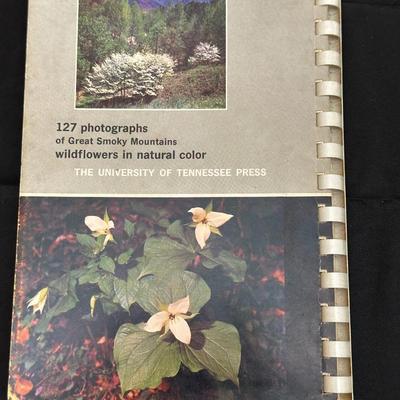 Collection of Books Exploring the Beauty of the Low Country and Great Smoky Mountains