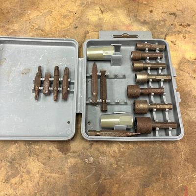 Collection of Drill Bits & Drivers (B1-MG)