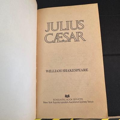 Collection of Books and Cliffs Notes covering Classics by Shakespeare, Faulkner & Dickens