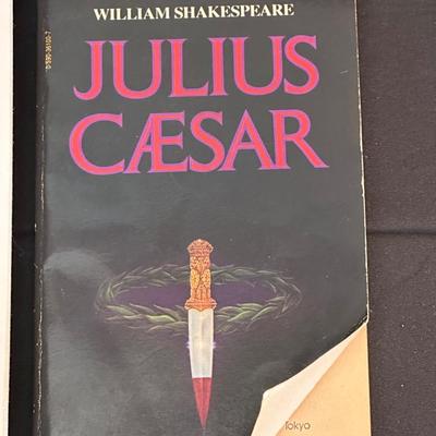 Collection of Books and Cliffs Notes covering Classics by Shakespeare, Faulkner & Dickens