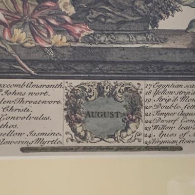 Framed Williamsburg August Floral Print