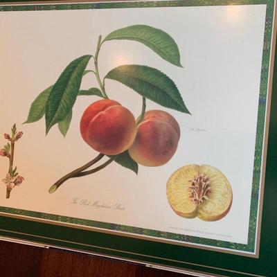 FOU SETS Clean Pimpernel Hard Cardboad Backed Place Mats + Coasters
