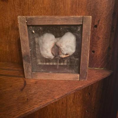 Cotton shadow box