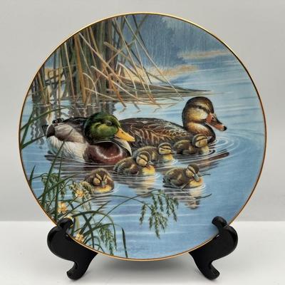 “A Loving Duck: Duck Familes” by Brucei Langton