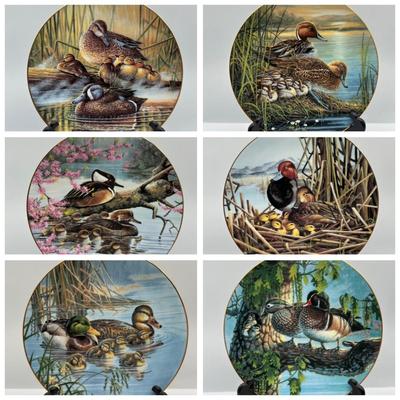 “A Loving Duck: Duck Familes” by Brucei Langton