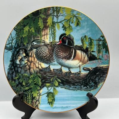 “A Loving Duck: Duck Familes” by Brucei Langton