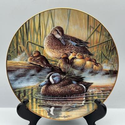“A Loving Duck: Duck Familes” by Brucei Langton
