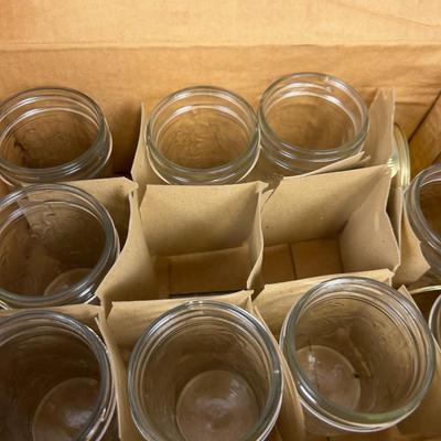 Golden Harvest Jelly Jars with Rings and Lids. NEW 