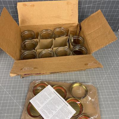 Golden Harvest Jelly Jars with Rings and Lids. NEW 