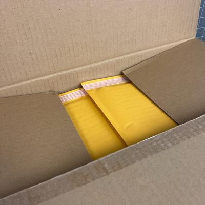 CASE of 100 Kraft Air Jackets (envelope for Mailing) 