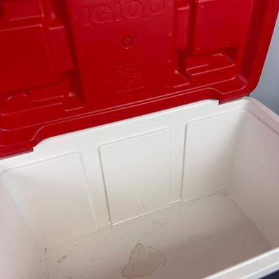 IGLOO 48 Quart COOLER 