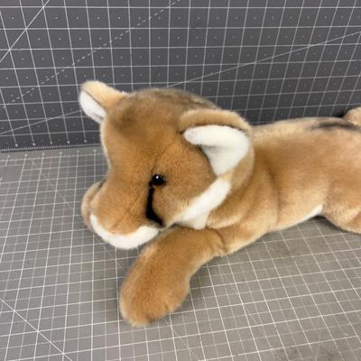 Douglas the Cuttle Toy, Kelso Mountain Lion