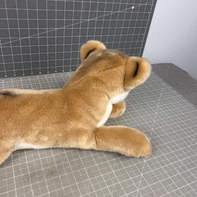 Douglas the Cuttle Toy, Kelso Mountain Lion