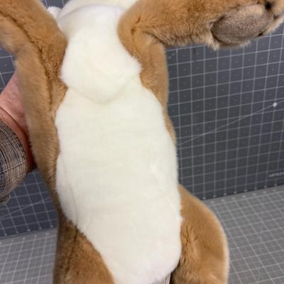 Douglas the Cuttle Toy, Kelso Mountain Lion