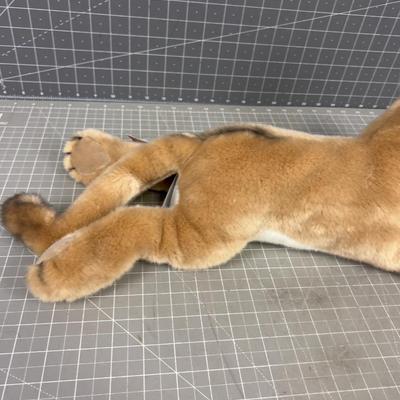 Douglas the Cuttle Toy, Kelso Mountain Lion