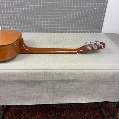 Acoustic Guitar-  Harmony Reinforces Neck 