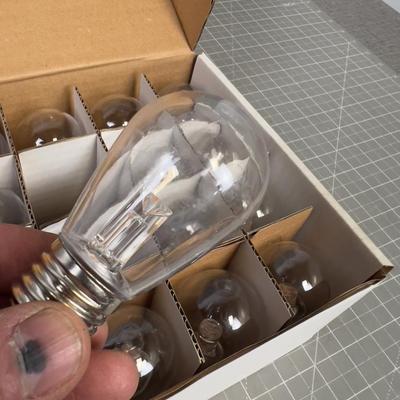 Box of 20 Brand NEW Light Bulbs