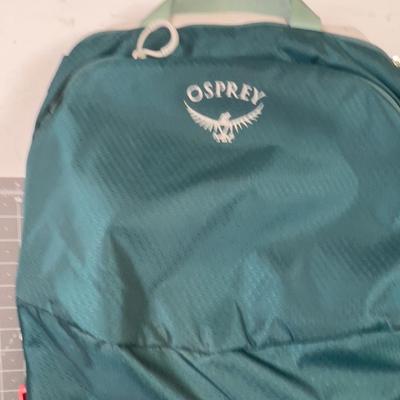 OSPREY Large Green Poco Light Child Carrier (or Dog) 