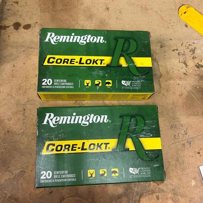 Remington Rifle Cartridges & Gun Cleaning Tools (B1-MG)