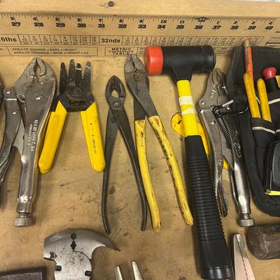 Collection of Pliers & More Tools (B1-MG)