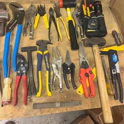 Collection of Pliers & More Tools (B1-MG)