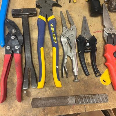 Collection of Pliers & More Tools (B1-MG)