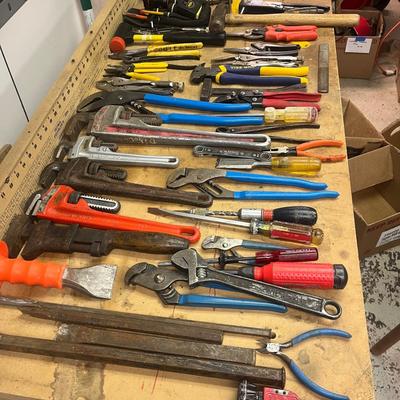 Collection of Pliers & More Tools (B1-MG)