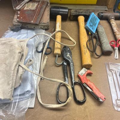 Levels, Saws, Hammers & More (B1-MG)