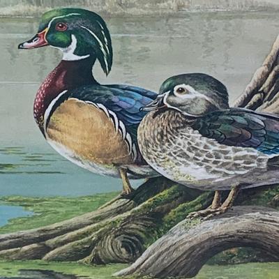 Backwater Woodies by John Obolewicz Signed Numbered Matted/Framed