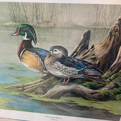 Backwater Woodies by John Obolewicz Signed Numbered Matted/Framed