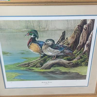 Backwater Woodies by John Obolewicz Signed Numbered Matted/Framed