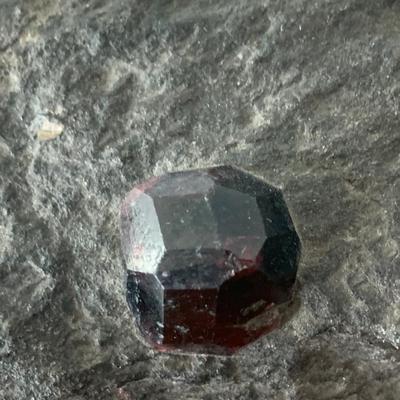 Metamorphic Rock w/ Imbedded Garnet