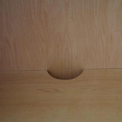 MODERN STYLE CABINET WITH SHELVES / REAR AUDIO ACCESS/ TWO DRAWERS