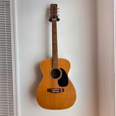 917 Gamma 6 String Guitar