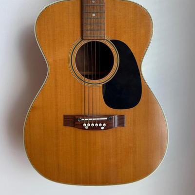 917 Gamma 6 String Guitar