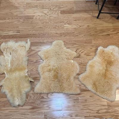 920 Set of Three Sheep Pelts