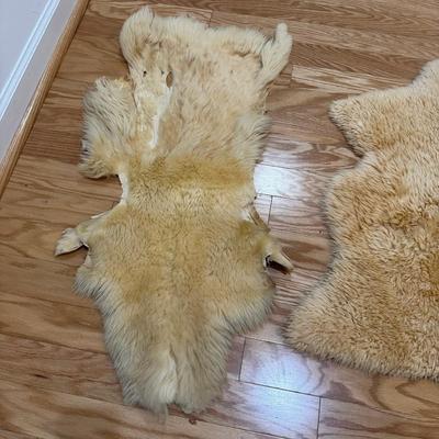 920 Set of Three Sheep Pelts