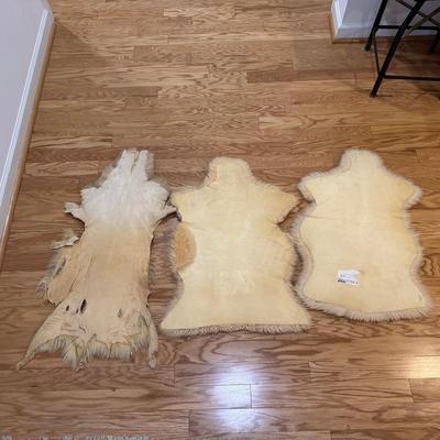 920 Set of Three Sheep Pelts