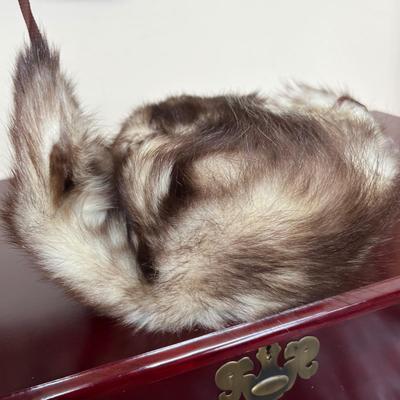 Mixed Women's Winter Accessories Lot