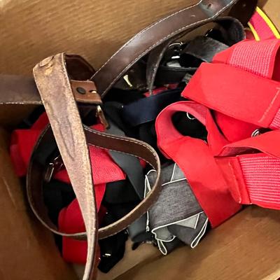 Lot 43 belts and suspenders