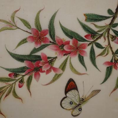 ANTIQUE PAINTINGS OF FINE PAPER OF BUTTERFLIES & FLORAL