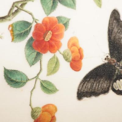 ANTIQUE PAINTINGS OF FINE PAPER OF BUTTERFLIES & FLORAL