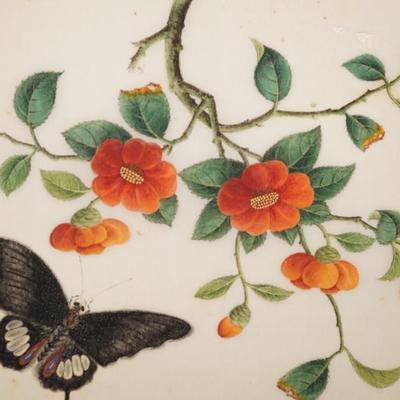 ANTIQUE PAINTINGS OF FINE PAPER OF BUTTERFLIES & FLORAL