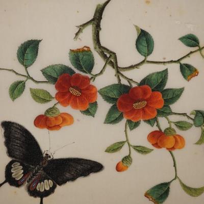 ANTIQUE PAINTINGS OF FINE PAPER OF BUTTERFLIES & FLORAL