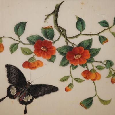 ANTIQUE PAINTINGS OF FINE PAPER OF BUTTERFLIES & FLORAL