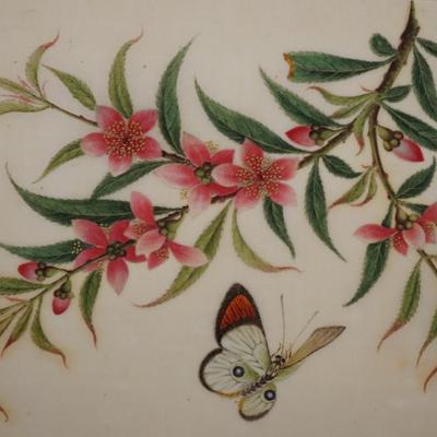 ANTIQUE PAINTINGS OF FINE PAPER OF BUTTERFLIES & FLORAL