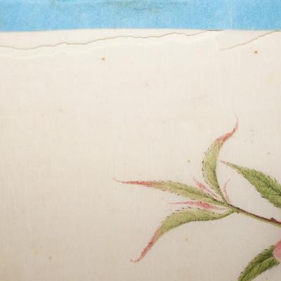 ANTIQUE PAINTINGS OF FINE PAPER OF BUTTERFLIES & FLORAL